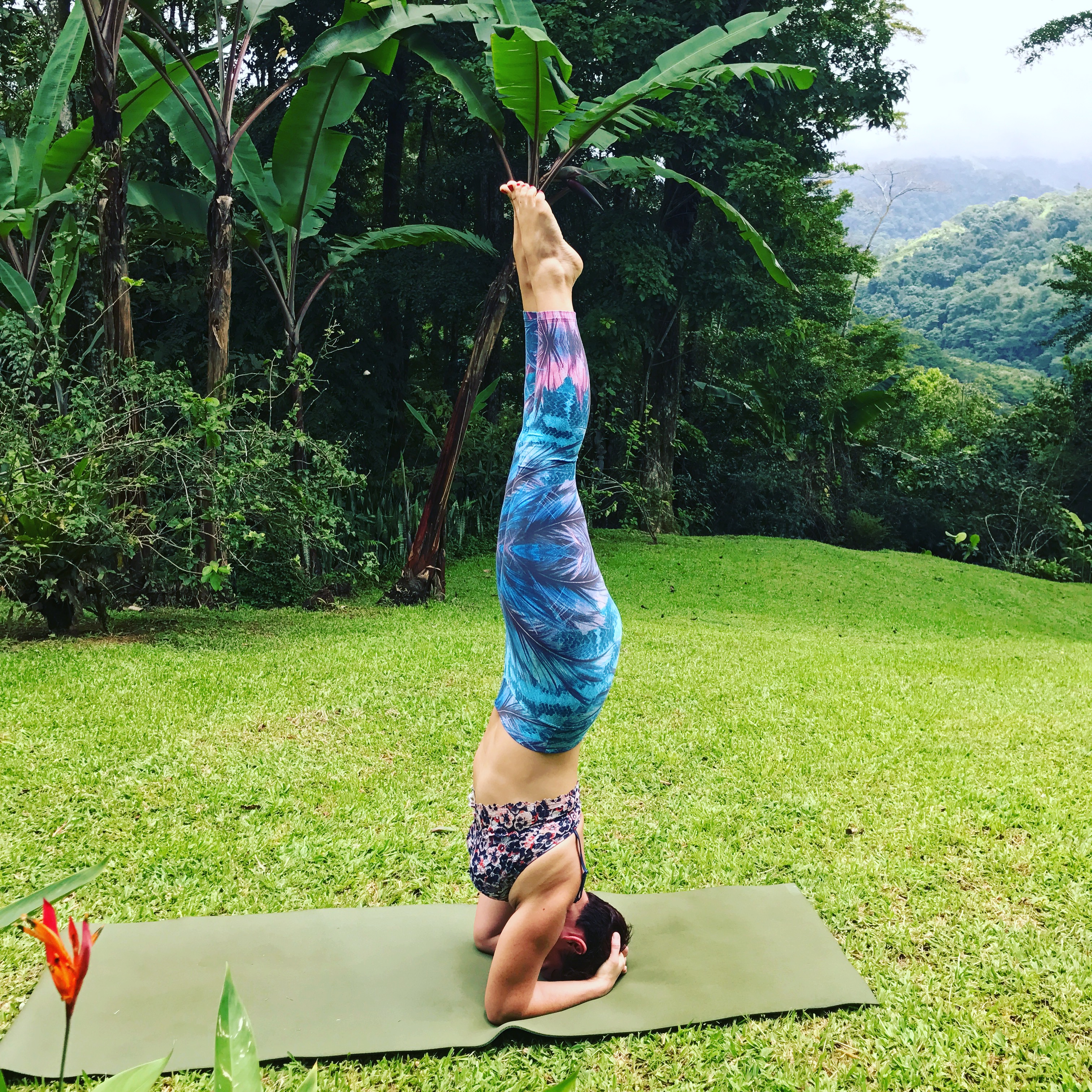 headstand garden