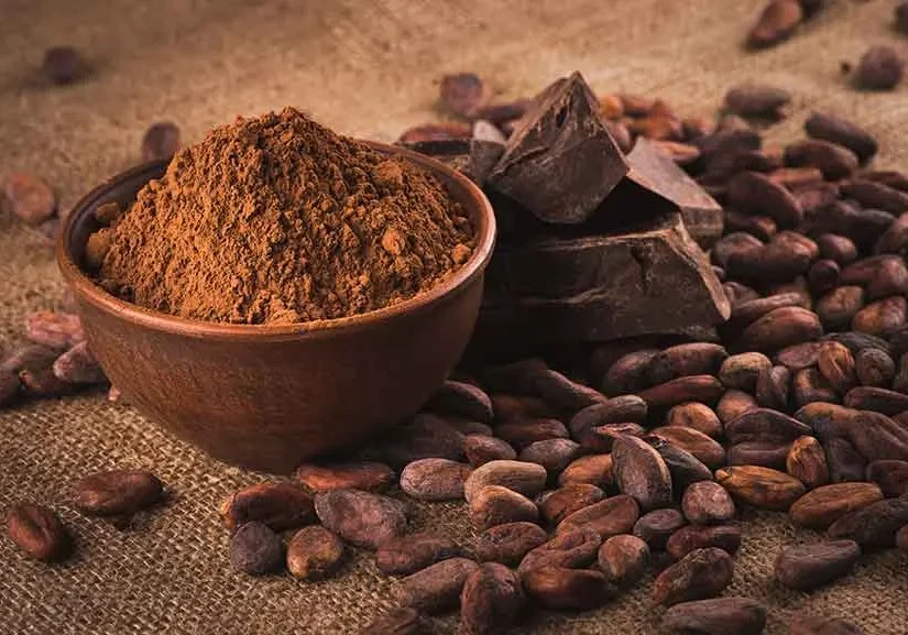 Que-es-el-cacao-y-de-donde-proviene.jpg